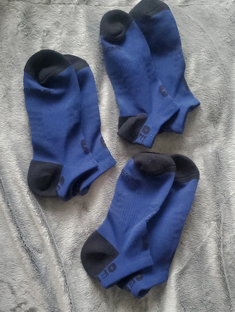 Figs Women's Low-Cut Royal Blue and Black Athletic No-Show Socks